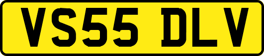 VS55DLV