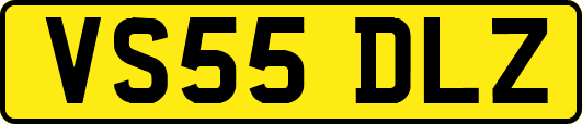 VS55DLZ