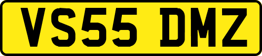 VS55DMZ