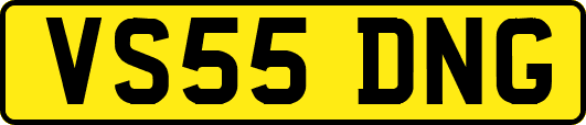 VS55DNG