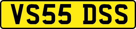 VS55DSS