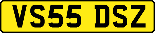 VS55DSZ
