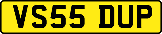 VS55DUP
