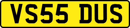VS55DUS
