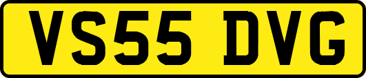 VS55DVG