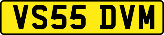 VS55DVM