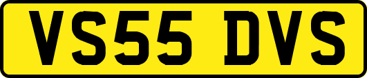 VS55DVS