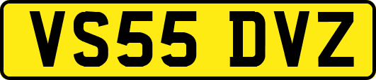 VS55DVZ