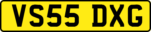 VS55DXG