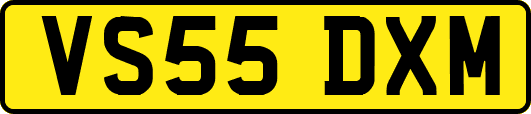 VS55DXM