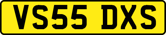 VS55DXS