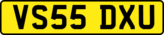 VS55DXU