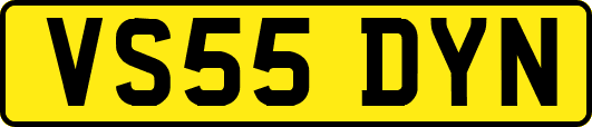 VS55DYN