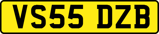 VS55DZB