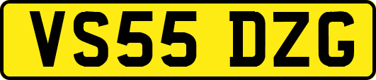 VS55DZG