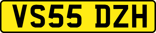 VS55DZH