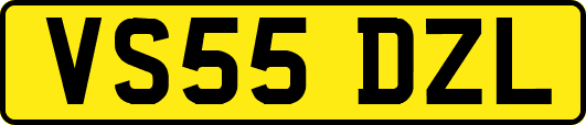VS55DZL