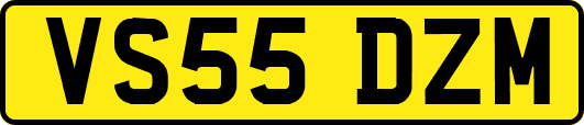VS55DZM
