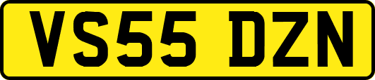 VS55DZN