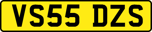 VS55DZS