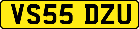 VS55DZU