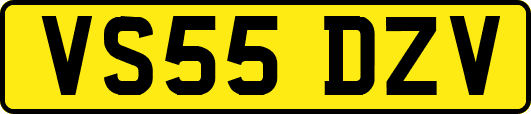 VS55DZV