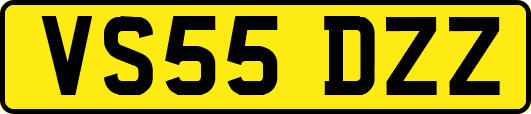 VS55DZZ