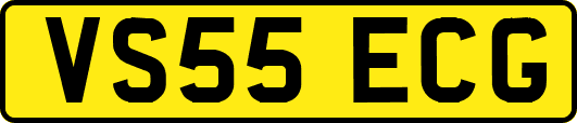 VS55ECG