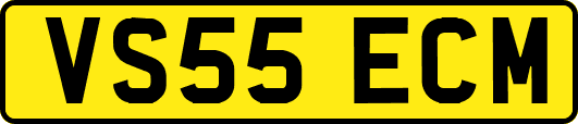 VS55ECM
