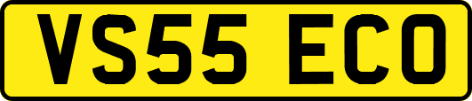 VS55ECO