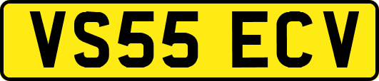 VS55ECV