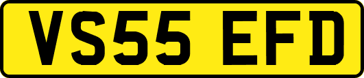 VS55EFD