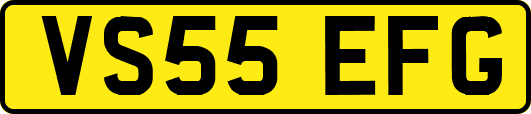 VS55EFG