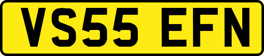 VS55EFN