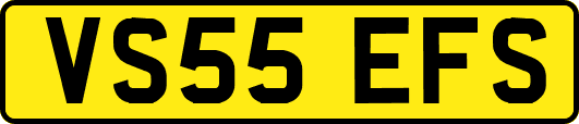 VS55EFS