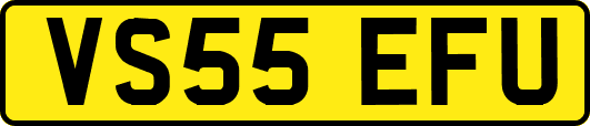 VS55EFU
