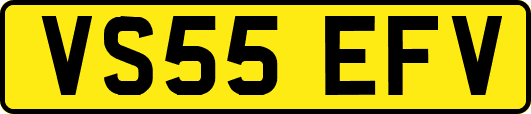 VS55EFV
