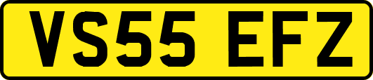 VS55EFZ