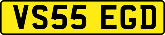 VS55EGD