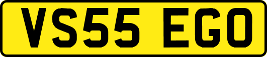 VS55EGO