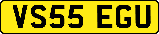 VS55EGU