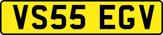 VS55EGV