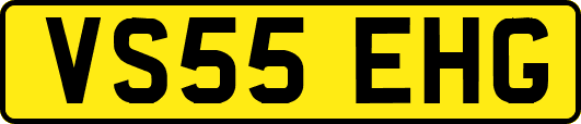 VS55EHG