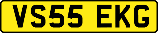 VS55EKG