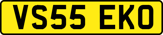 VS55EKO