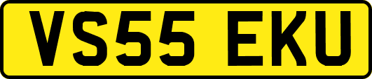 VS55EKU