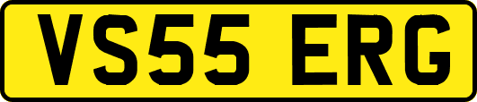 VS55ERG