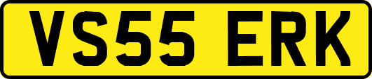 VS55ERK