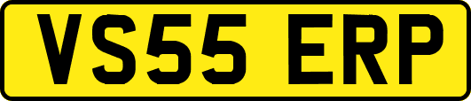 VS55ERP