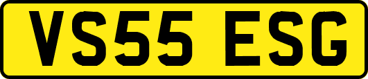 VS55ESG